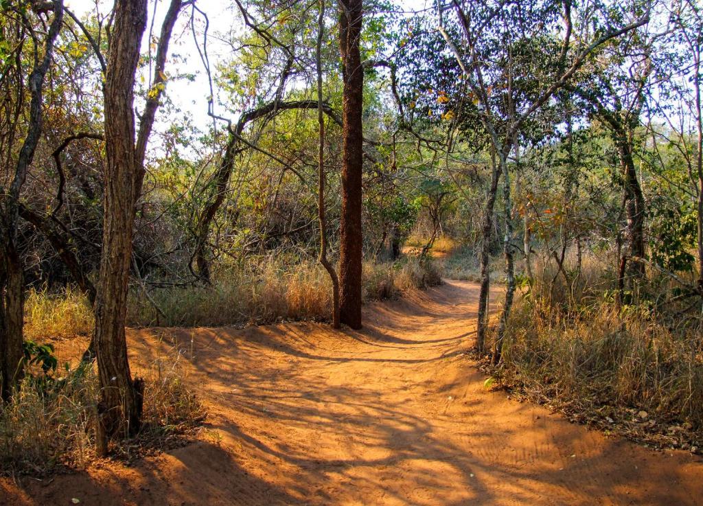 Umkhumbi Lodge Hluhluwe Ngoại thất bức ảnh
