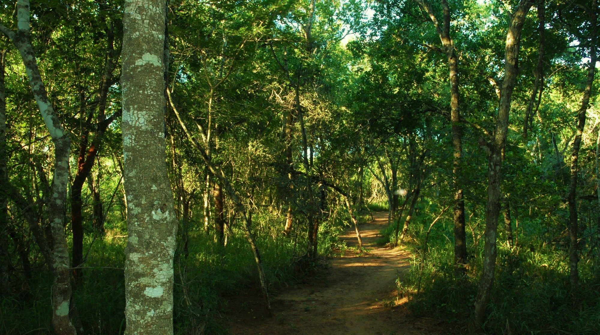 Umkhumbi Lodge Hluhluwe Ngoại thất bức ảnh